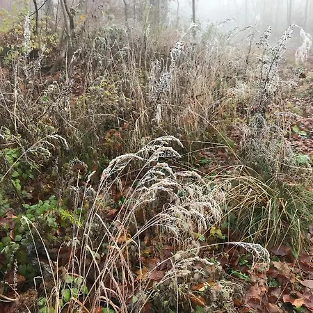 アパート Morgensonne Am Kurpark # Gratis Parkplatz # Ebenerdig # Spielplatz # Wlan # 2 Schlafzimmer # Naehe Weimar # Weimarer Land # Smart-tv バート・ベルカ