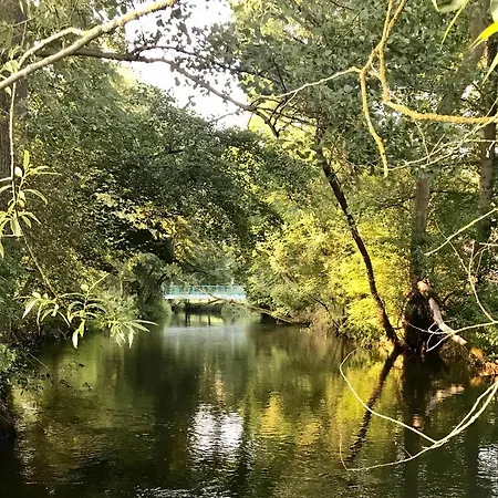 Morgensonne Am Kurpark # Gratis Parkplatz # Ebenerdig # Spielplatz # Wlan # 2 Schlafzimmer # Naehe Weimar # Weimarer Land # Smart-tv アパート *