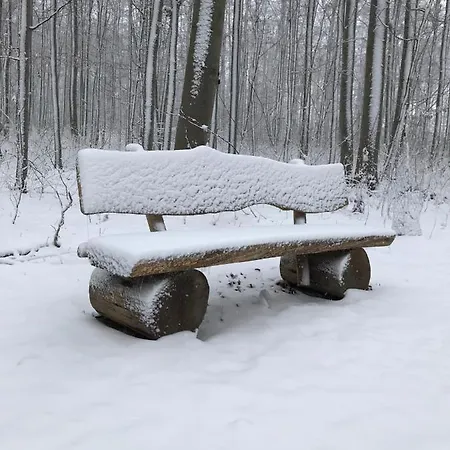 Morgensonne Am Kurpark # Gratis Parkplatz # Ebenerdig # Spielplatz # Wlan # 2 Schlafzimmer # Naehe Weimar # Weimarer Land # Smart-tv