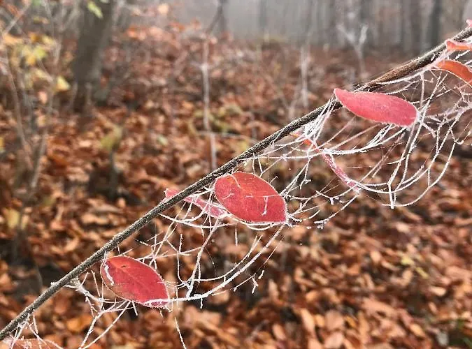 Morgensonne Am Kurpark # Gratis Parkplatz # Ebenerdig # Spielplatz # Wlan # 2 Schlafzimmer # Naehe Weimar # Weimarer Land # Smart-tv * Bad Berka