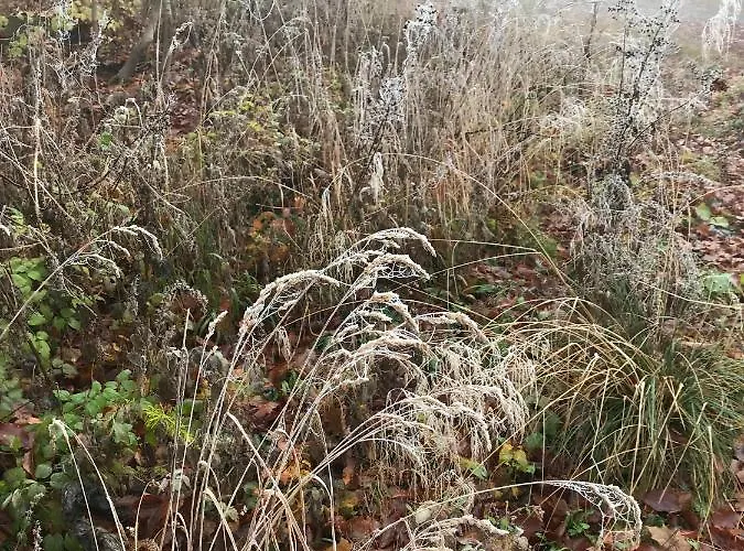 Apartamento Morgensonne Am Kurpark # Gratis Parkplatz # Ebenerdig # Spielplatz # Wlan # 2 Schlafzimmer # Naehe Weimar # Weimarer Land # Smart-tv Bad Berka