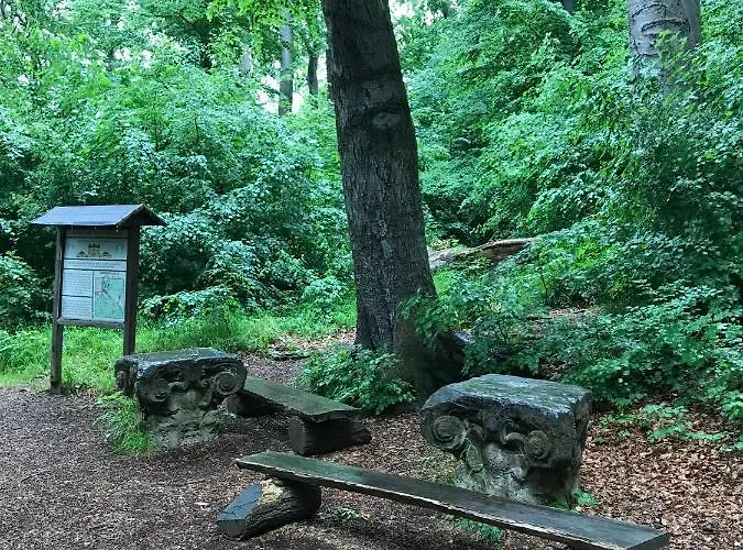 Apartamento Morgensonne Am Kurpark # Gratis Parkplatz # Ebenerdig # Spielplatz # Wlan # 2 Schlafzimmer # Naehe Weimar # Weimarer Land # Smart-tv