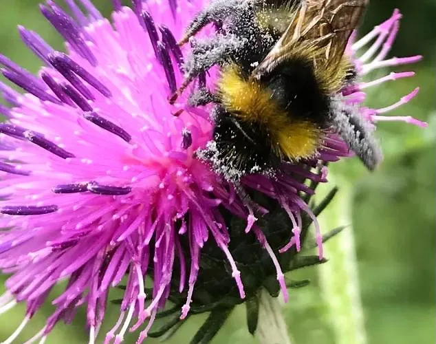 Morgensonne Am Kurpark # Gratis Parkplatz # Ebenerdig # Spielplatz # Wlan # 2 Schlafzimmer # Naehe Weimar # Weimarer Land # Smart-tv * Bad Berka