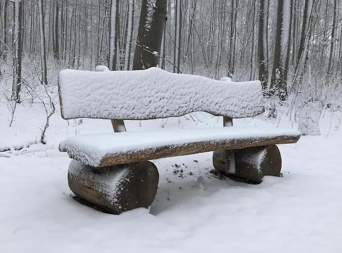 Morgensonne Am Kurpark # Gratis Parkplatz # Ebenerdig # Spielplatz # Wlan # 2 Schlafzimmer # Naehe Weimar # Weimarer Land # Smart-tv